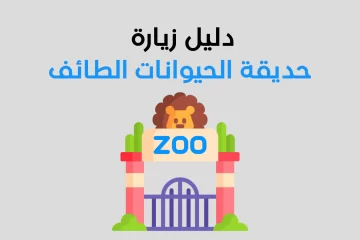 دليل حديقة الحيوانات الطائف | المواعيد وأسعار التذاكر ودليل الأنشطة